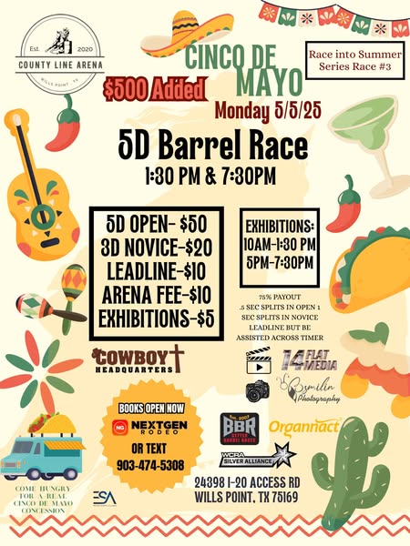 Cinco De Mayo 5D