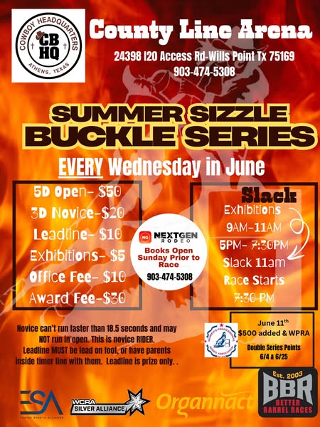 Summer Sizzle Buckle Series