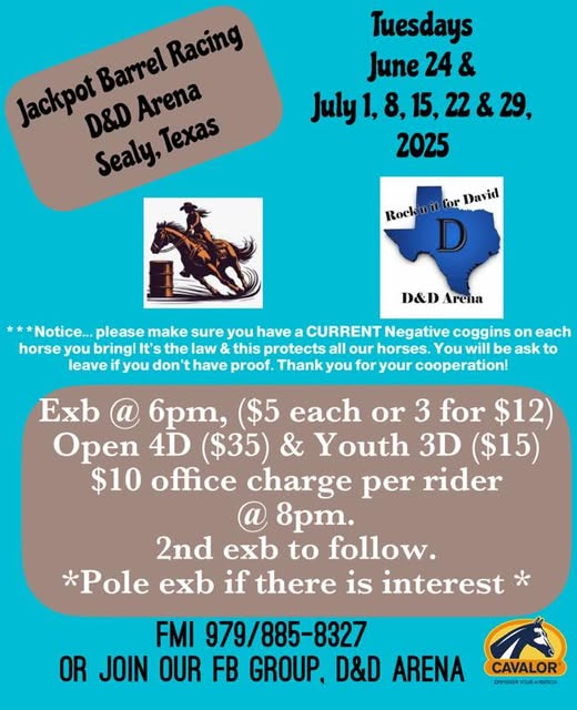 Flyer for Open 4D