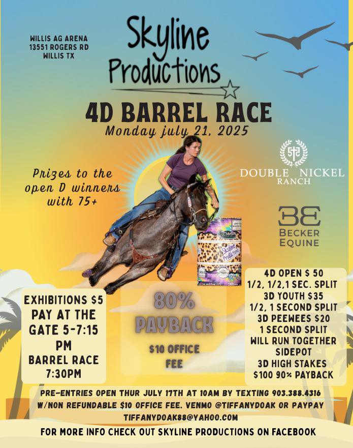 Flyer 1 for Skyline Productions