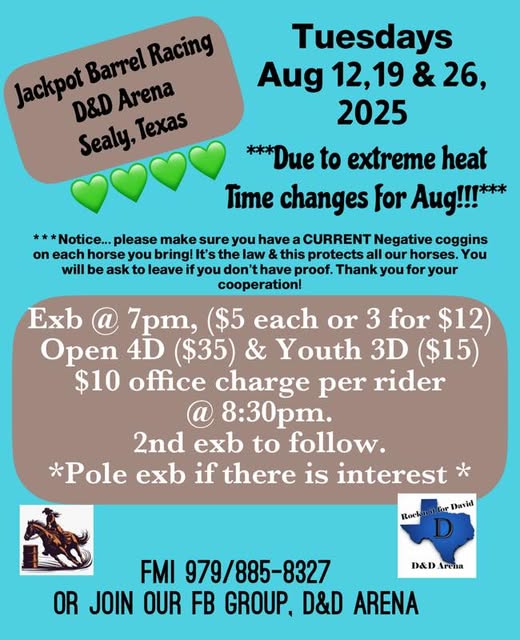 Flyer 1 for Open 4D