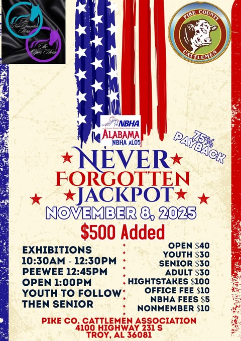 Flyer 1 for Never Forgotten Jackpot