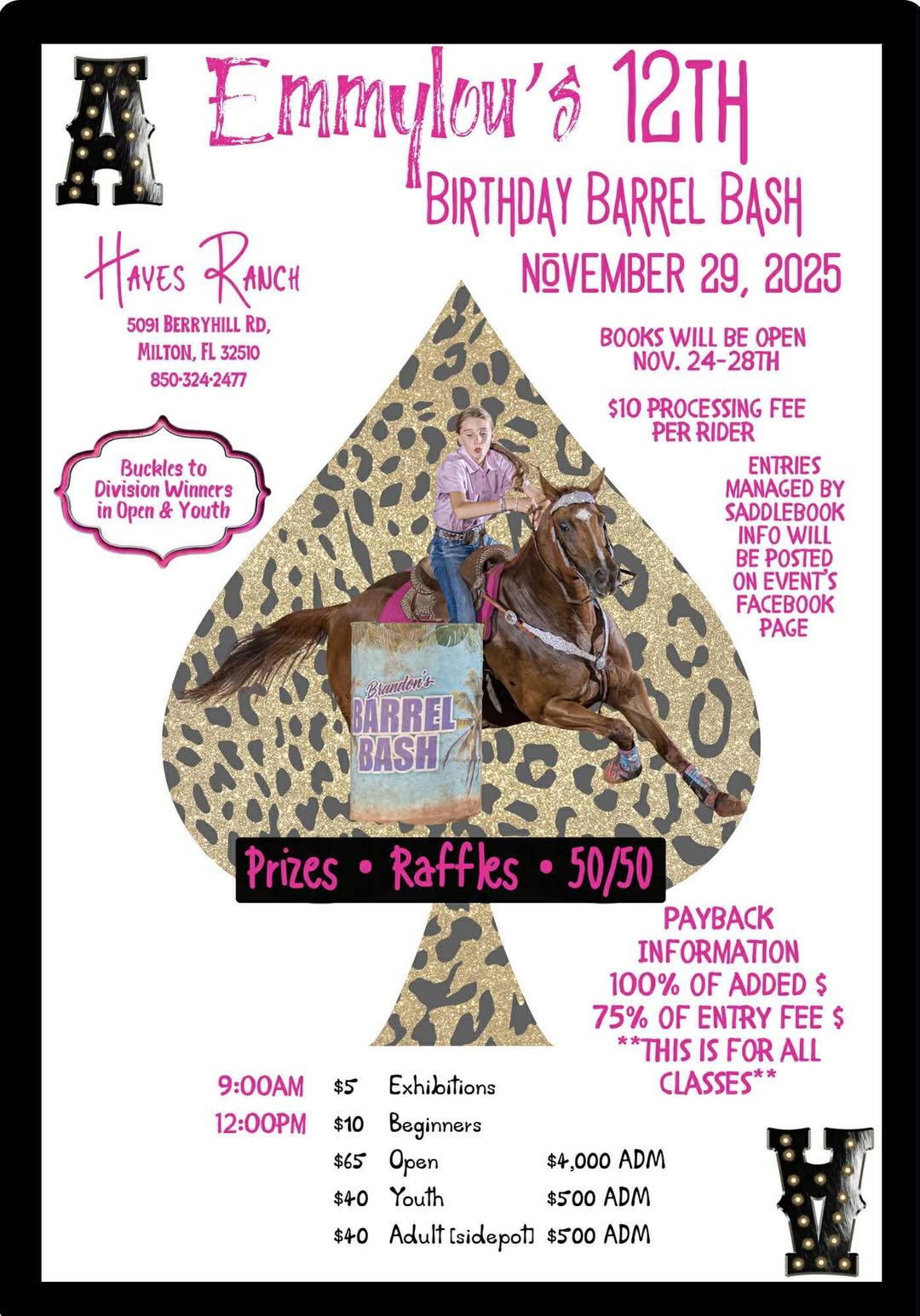 Flyer 1 for Emmylou's 12th Birthday Barrel Bash