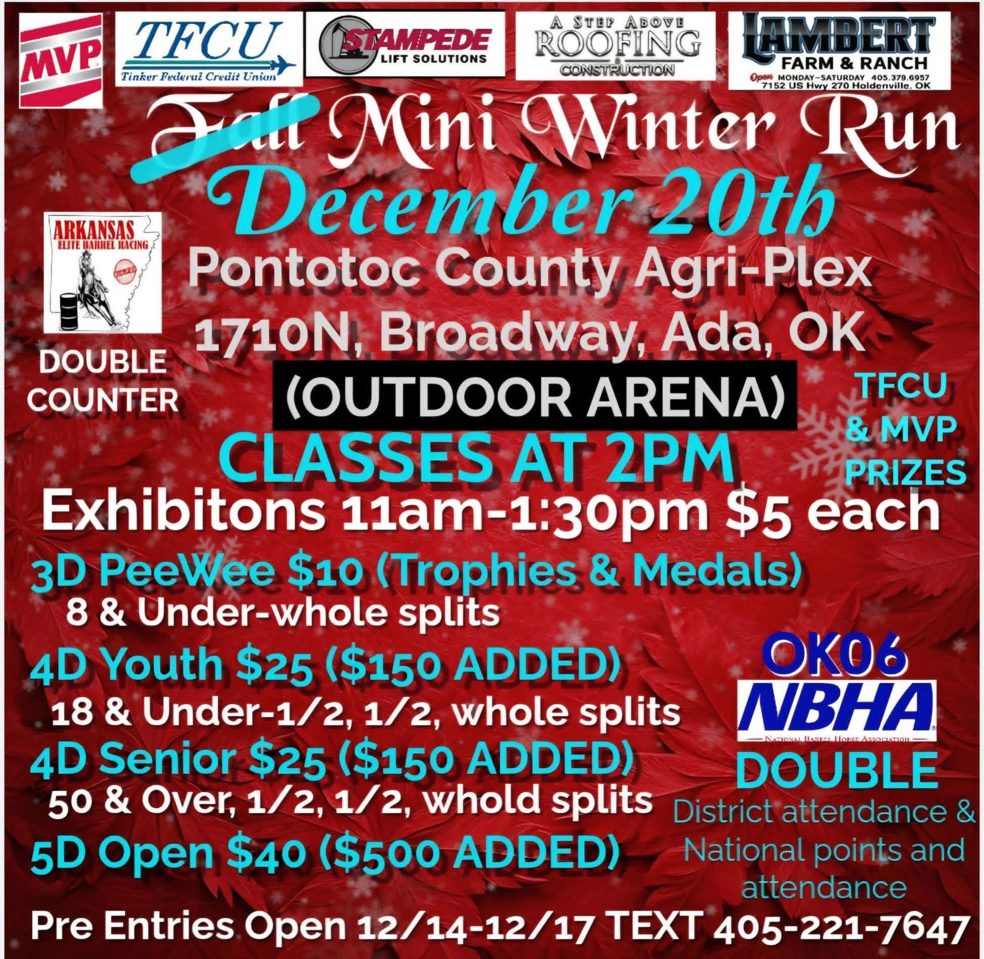 Flyer 1 for Mini Winter Run