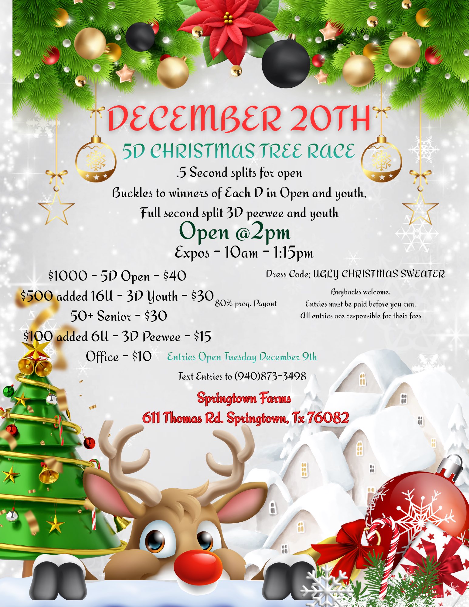 Flyer 1 for 5D Christmas Tree Race