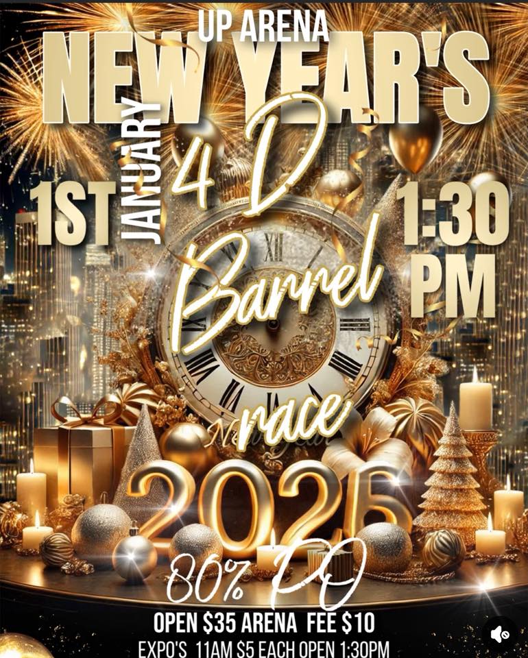 Flyer 1 for New Years Open 4D