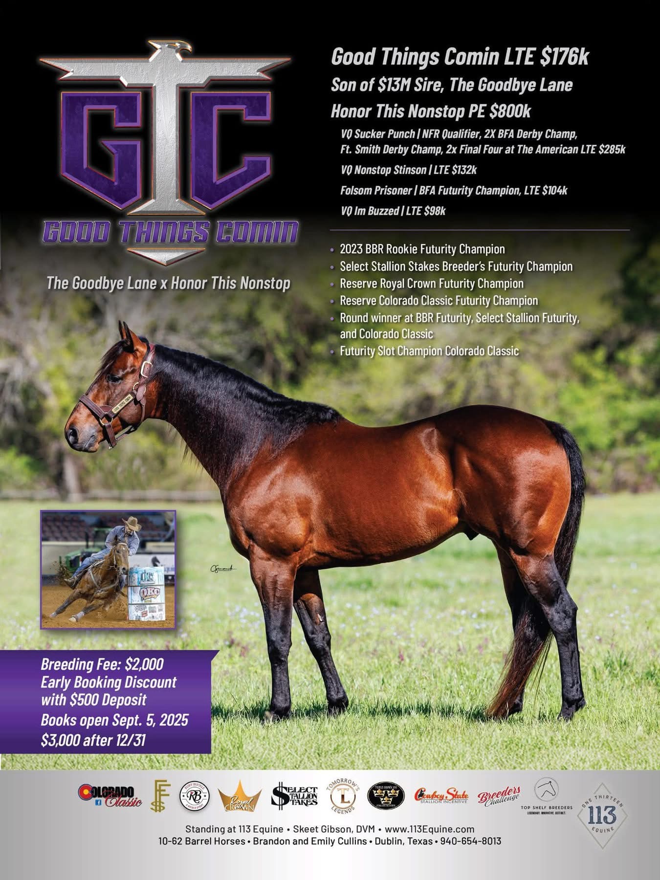 Flyer 2 for The Holiday Series