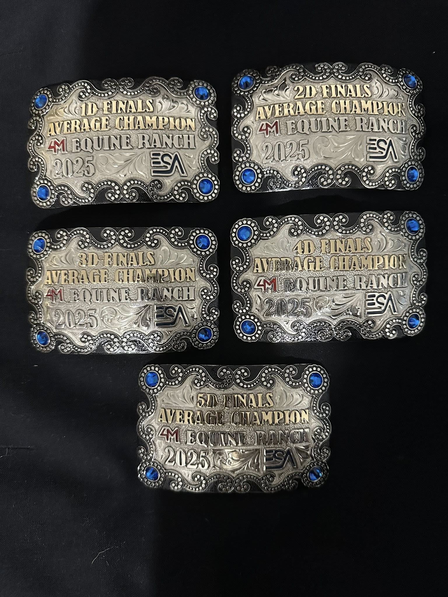 Flyer 2 for ESA WWP Barrel Racing Finals