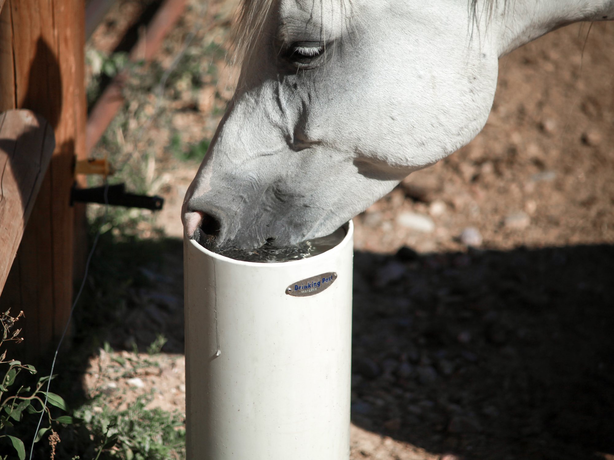 $5400 Added 5D Open KG Cans & Cash