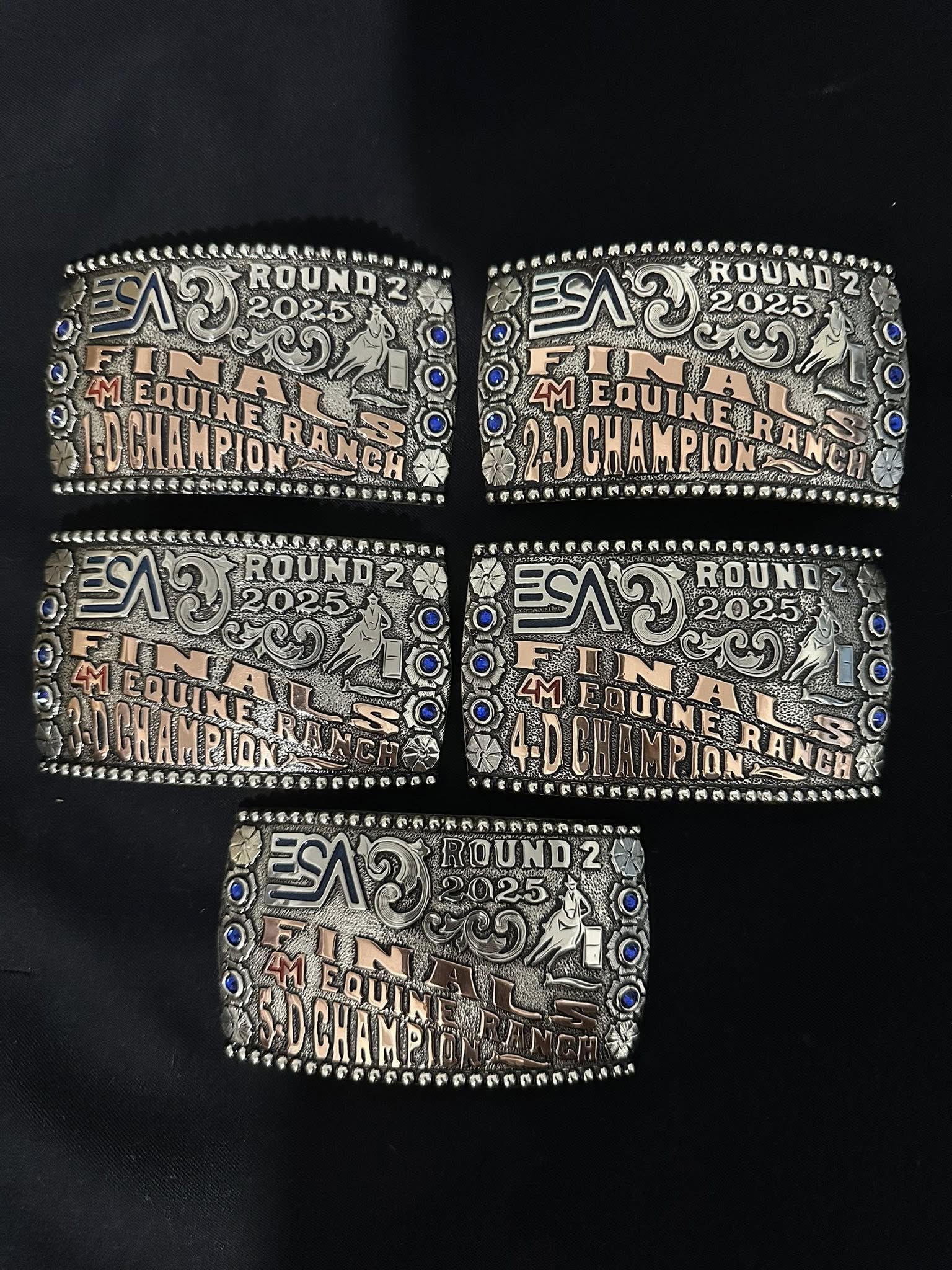 Flyer 3 for ESA WWP Barrel Racing Finals