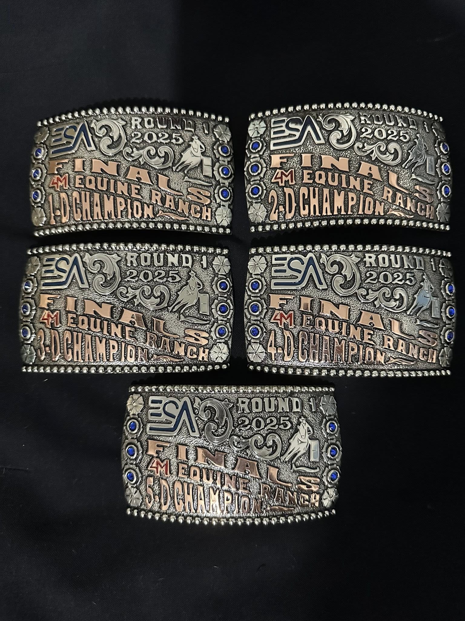 Flyer 4 for ESA WWP Barrel Racing Finals