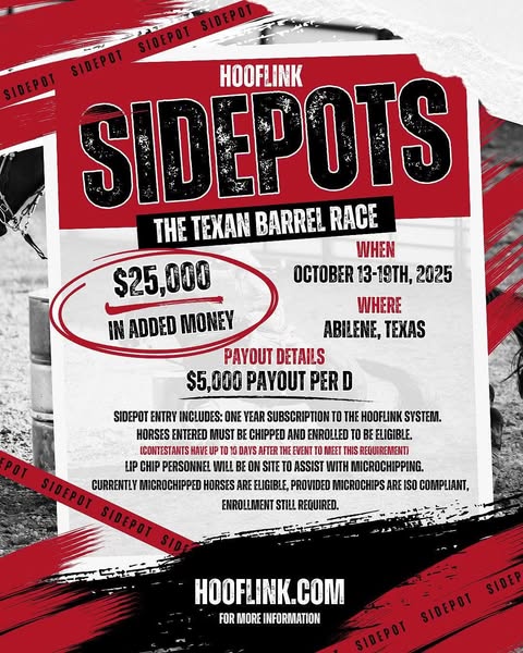 Extra flyer 4