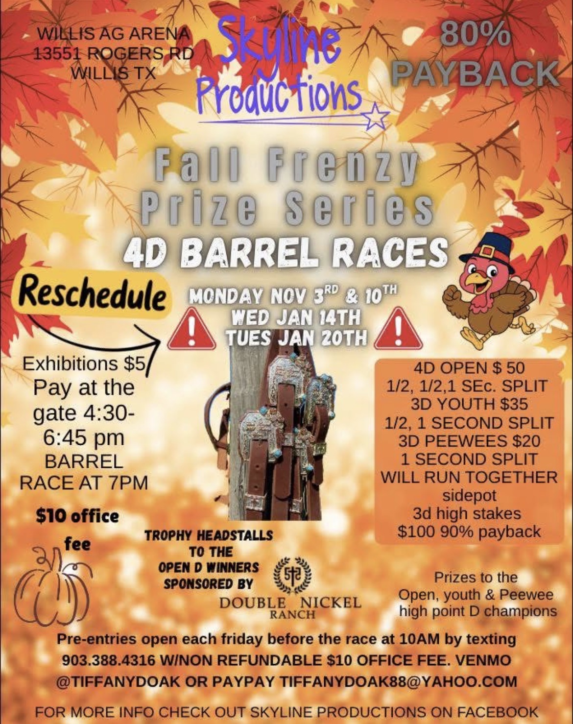 Flyer 1 for Skyline Productions