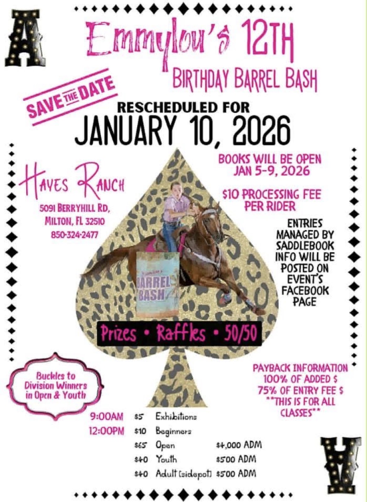 Flyer 1 for Emmylou 12th birthday bash 