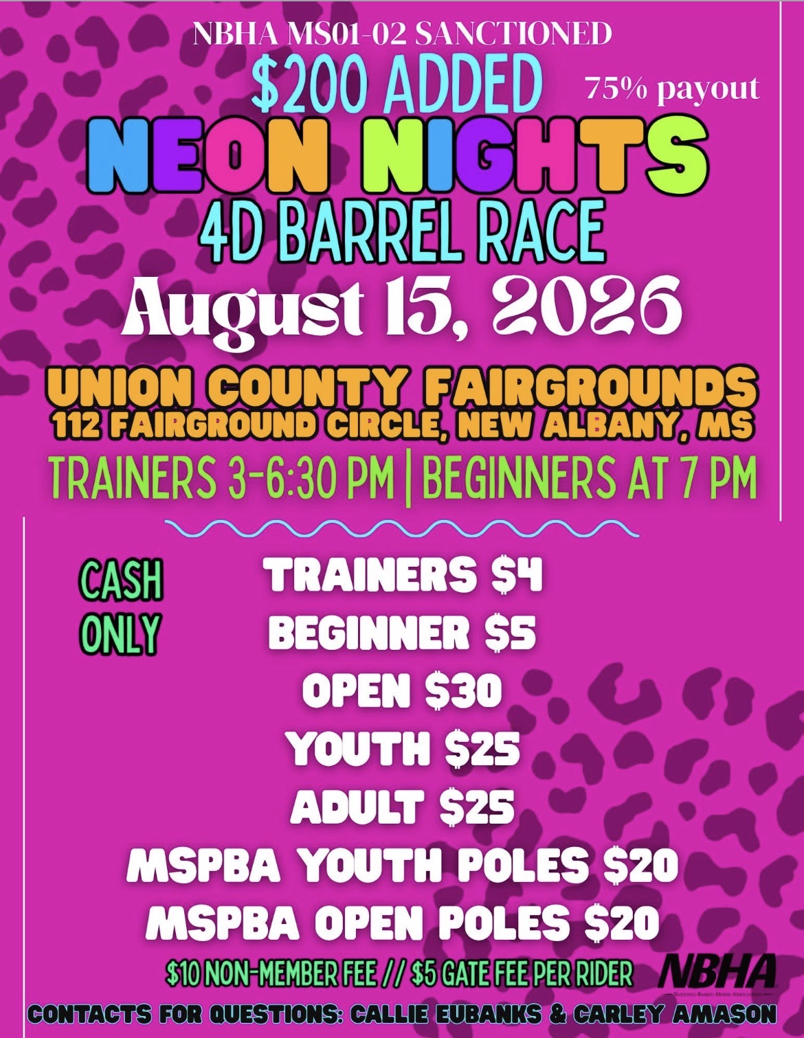 Flyer 1 for NBHA MS 01-02 Neon Lights 