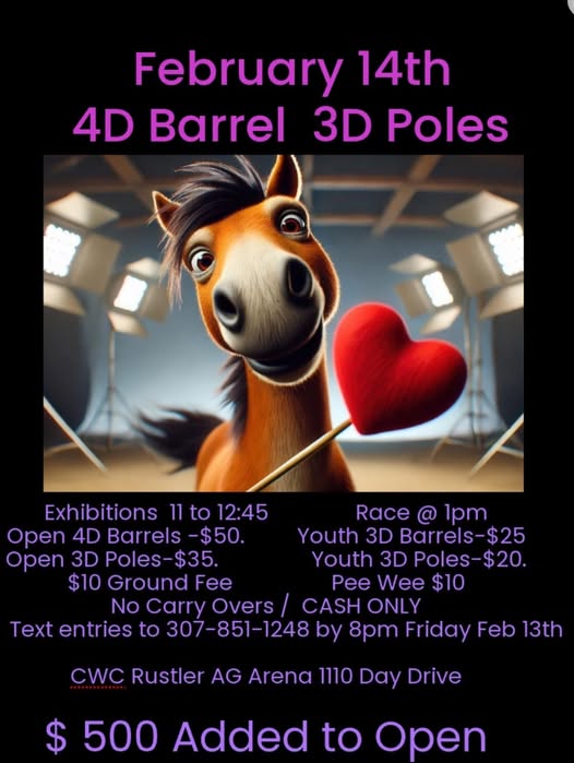 Flyer 1 for 4D Barrels 3D Poles