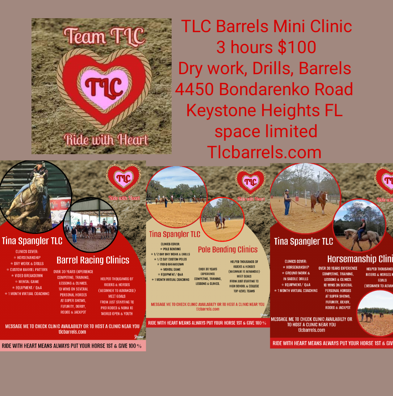 Flyer 1 for TLC Barrel Racing half day clinic 
