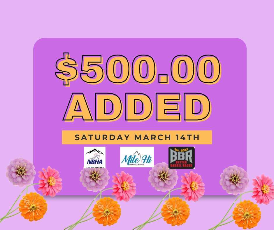 Flyer 2 for Mile Hi's Winter Festival of Events