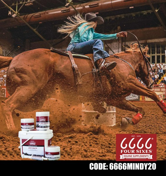 6666 Equine Supplements