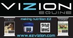 Vizion Equine
