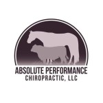 Absolute Performance Chiropractic LLC